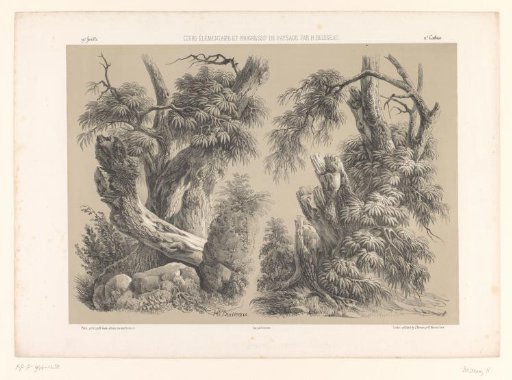 Two studies of trees with foliage