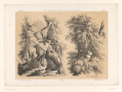 Two studies of trees with foliage