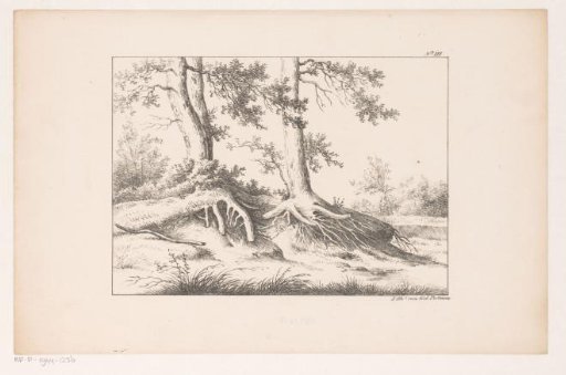 Two trees in a landscape