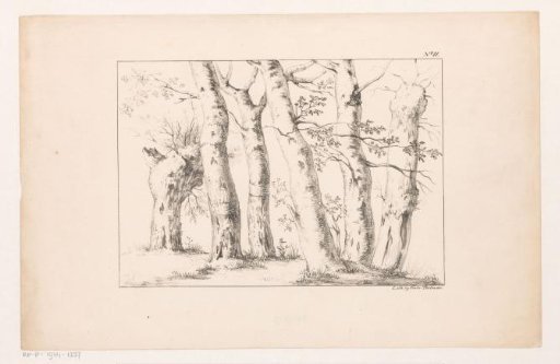 Six trees