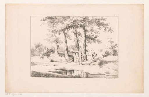 Four trees with a fence