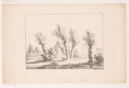 Four trees in front of a house