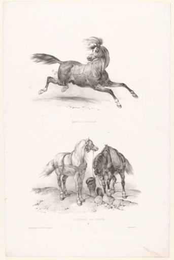 Two views with a Roman horse and two post horses
