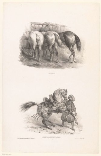 Two views with a stable with three horses and the horse of the Sultan