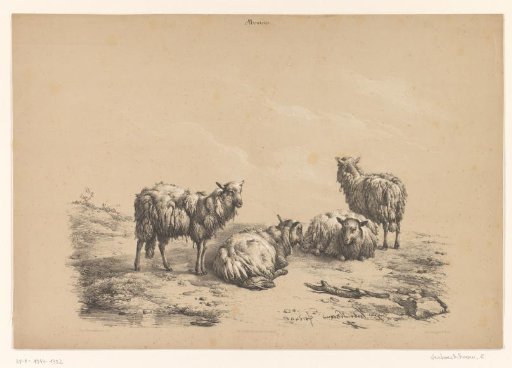 Four Sheep