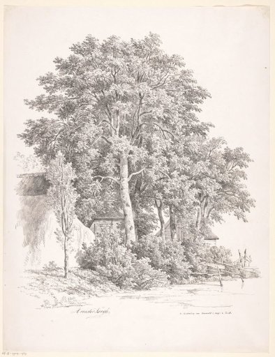 Water's edge with trees and houses