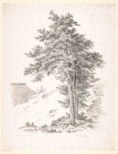 Trees, hill and roof of a farmhouse