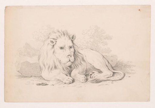 Reclining lion