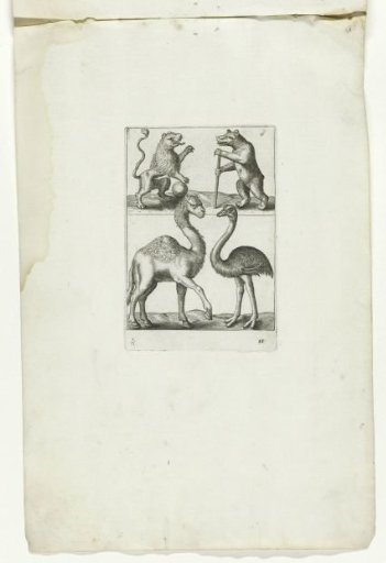 Lion, Bear, Dromedary, and Ostrich
