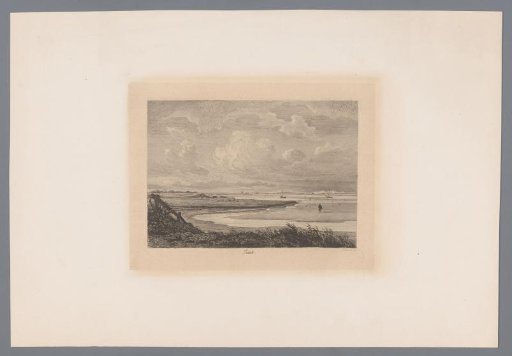 View of the coast of Texel