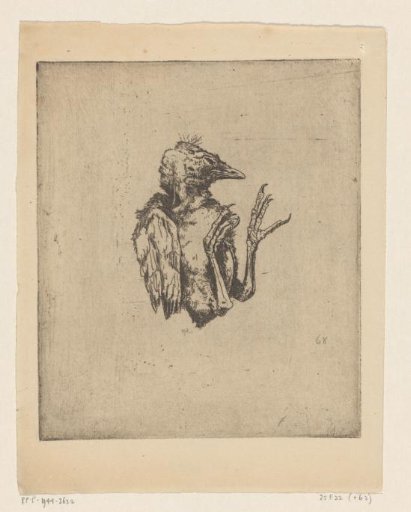 Dead Young Bird