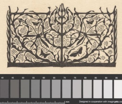 Title page headpiece with long-legged flies and moths