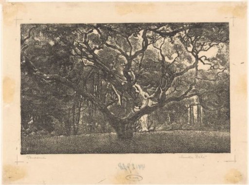 Wood in Bergen