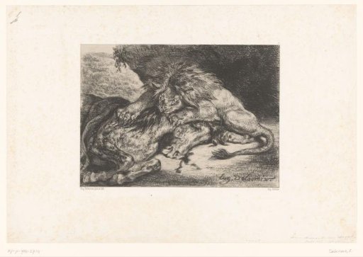 Lion Devours a Horse
