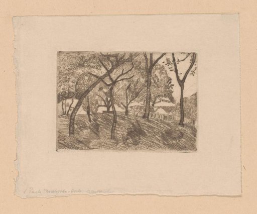 Wooded Landscape