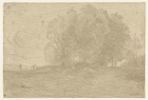 Group of trees at Belle Foriere