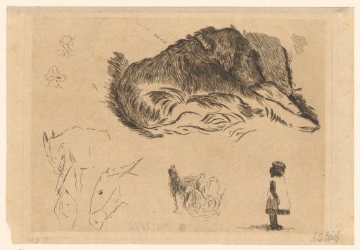Sleeping dog, with sketches of horses and children