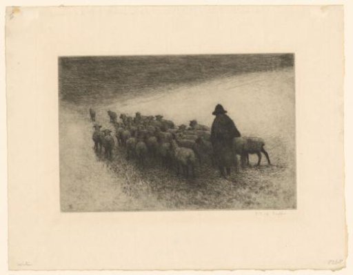 Shepherd with sheep