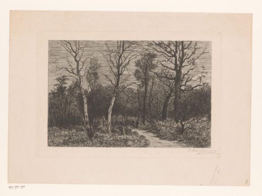Group of soldiers walking along a forest path