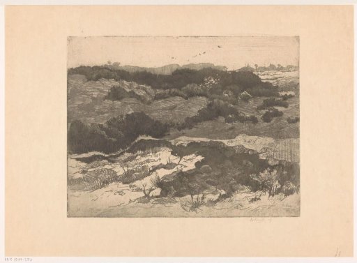 Dune Landscape