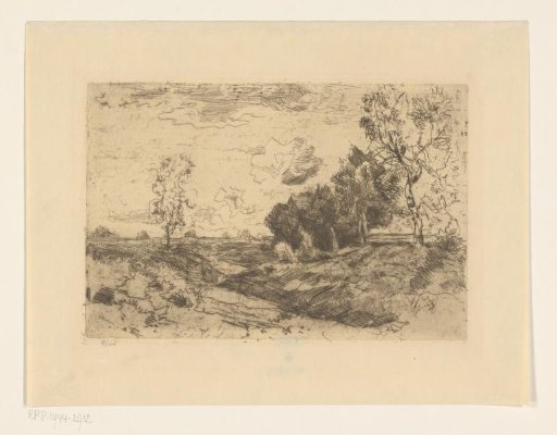 Landscape