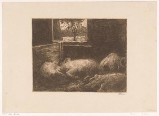 Pigs in a stable