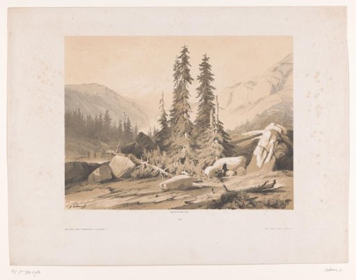Mountain landscape with spruces and mountain goats