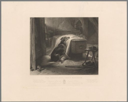 Dog by the herder's coffin