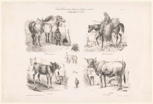 Four views of horses and cows