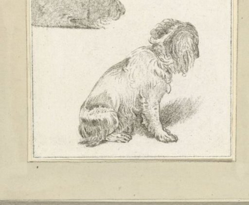 Sitting dog