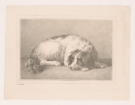 Sleeping dog