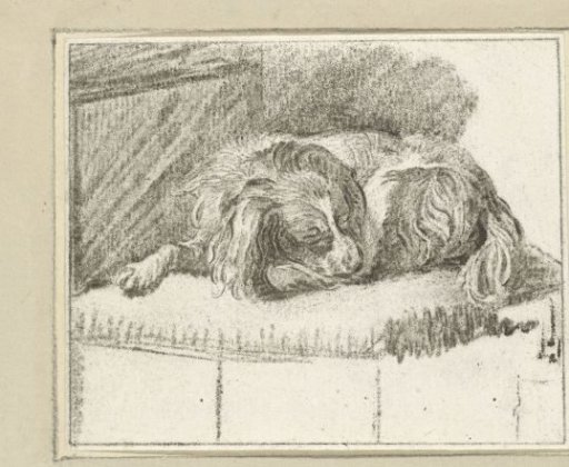 Lying dog