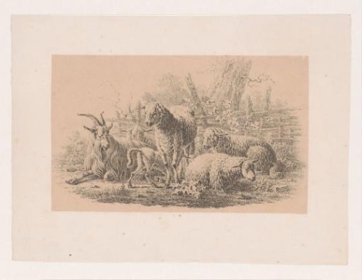 Billy goat, five sheep and a lamb