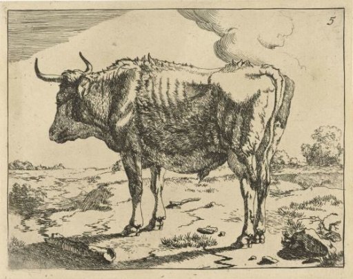 Standing Bull