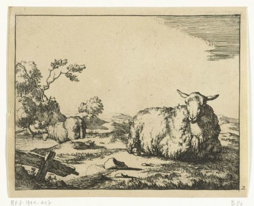 Recumbent Sheep, with a Fence in Foreground