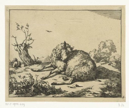 Recumbent Sheep, by a Pollard Willow