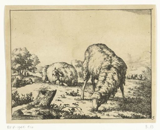 Grazing Sheep, by a Tree Stump