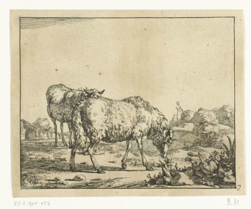 Two Standing Sheep, the Foremost Grazing