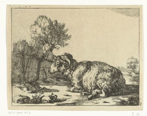 Recumbent Ram, in Profile