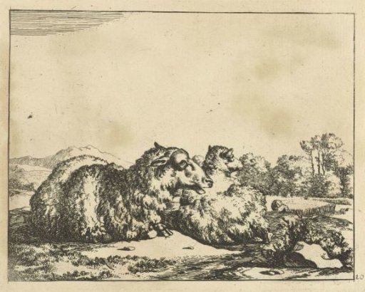 Two Recumbent Sheep, Seen from Behind