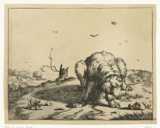 Crouching Bear, by a Tree Stump