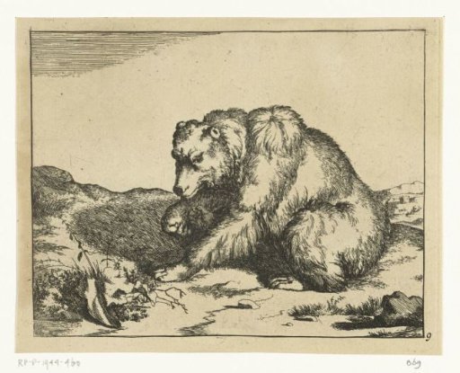 Sitting Bear, in Profile