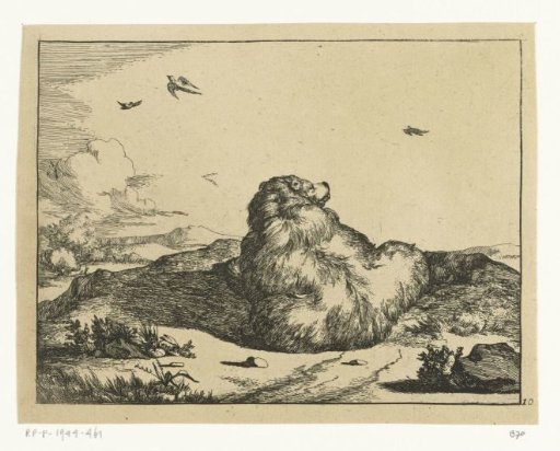 Recumbent Bear, from Behind, Head Raised