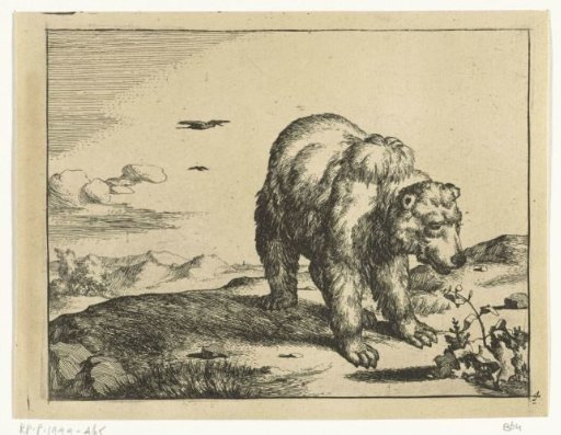 Standing Bear by a Plant