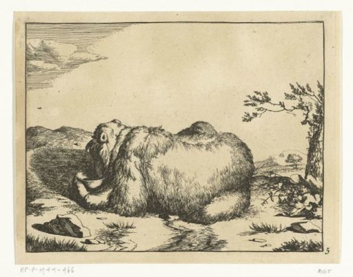 Recumbent Bear, in Profile, Snout in Bowl
