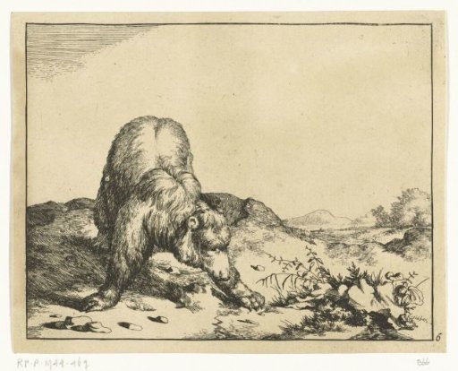 Standing Bear, from Front, Forelegs Widely Spread