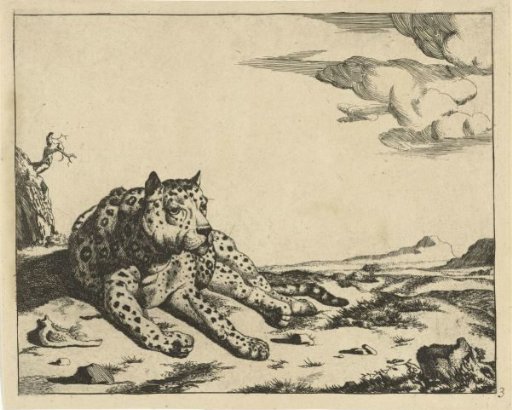 Recumbent Leopard, Seen from Front, Paws to the Right