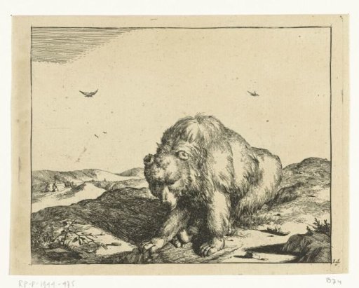 Seated bear seen from the front