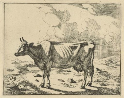 Standing cow against a cloudy sky