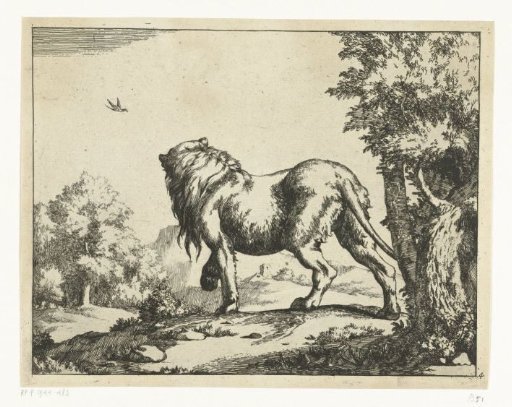 Standing lion seen from behind